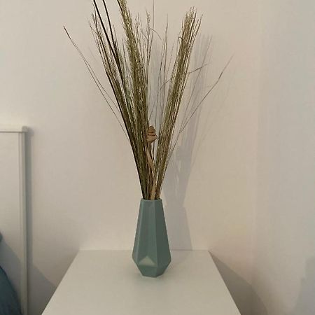 Studio Saint Cyprien Plage المظهر الخارجي الصورة